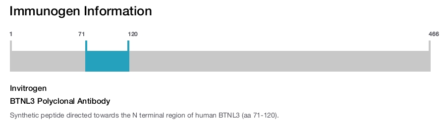 BTNL3 Polyclonal Antibody