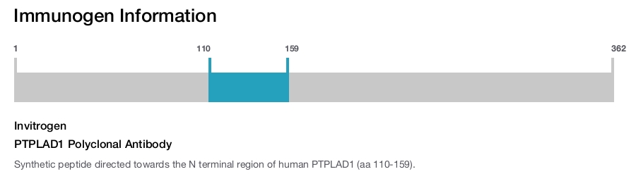 PTPLAD1 Polyclonal Antibody