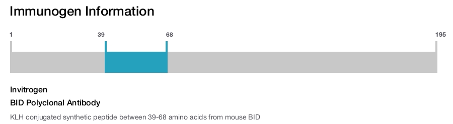 BID Polyclonal Antibody