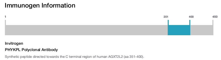 PHYKPL Polyclonal Antibody