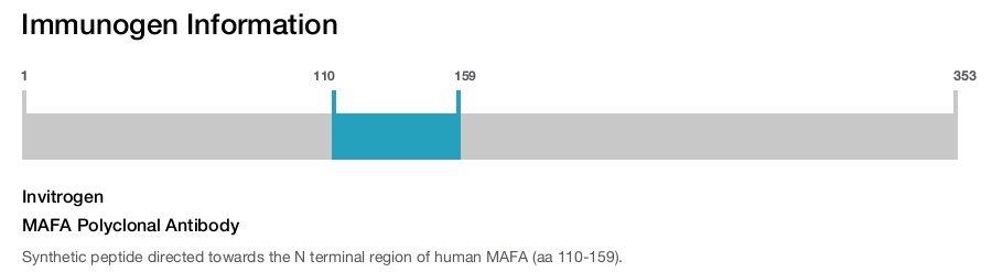 MAFA Polyclonal Antibody
