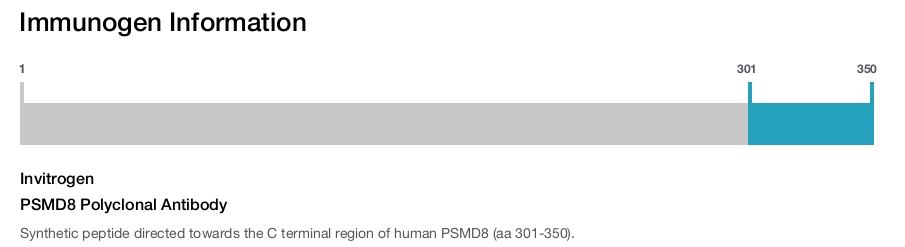 PSMD8 Polyclonal Antibody