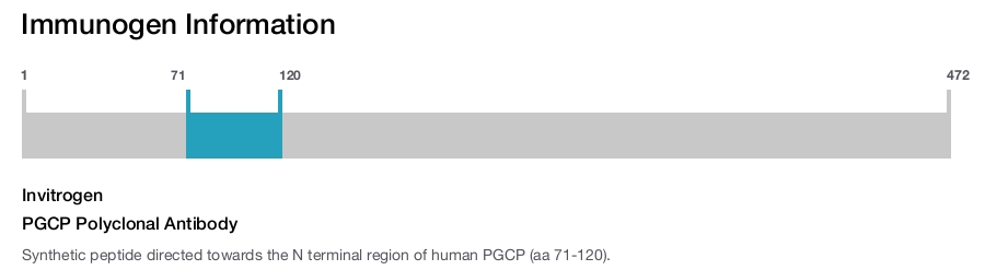 PGCP Polyclonal Antibody