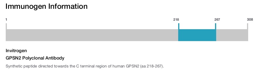 GPSN2 Polyclonal Antibody