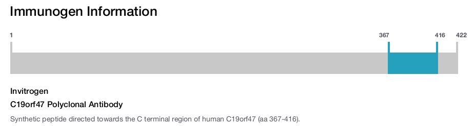 C19orf47 Polyclonal Antibody