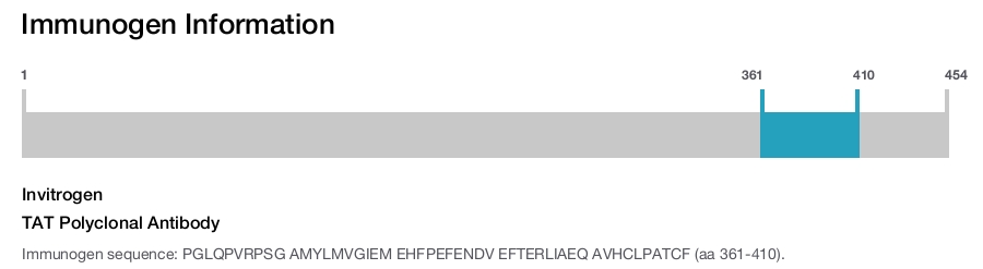 TAT Polyclonal Antibody
