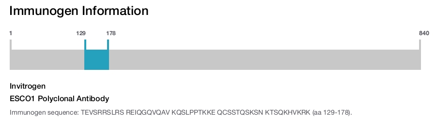 ESCO1 Polyclonal Antibody