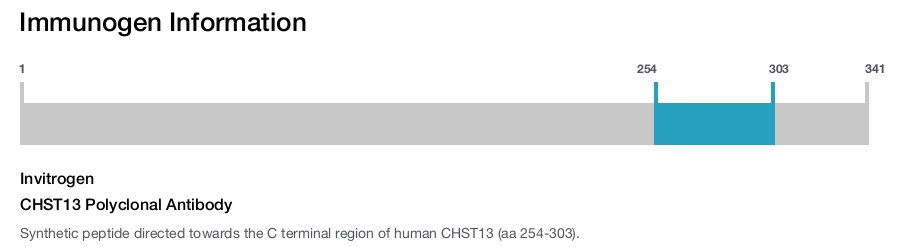 CHST13 Polyclonal Antibody