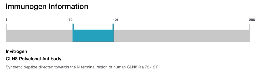 CLN8 Polyclonal Antibody