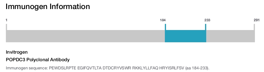 POPDC3 Polyclonal Antibody