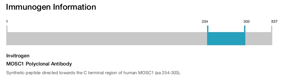 MOSC1 Polyclonal Antibody