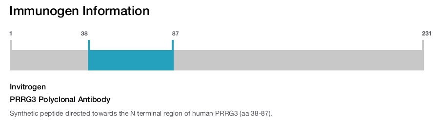 PRRG3 Polyclonal Antibody