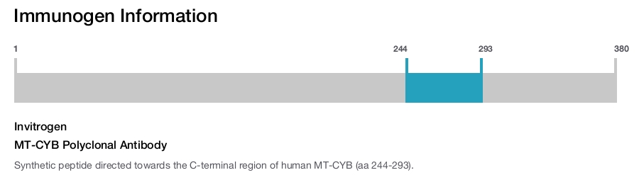 MT-CYB Polyclonal Antibody