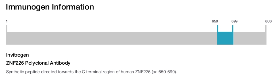 ZNF226 Polyclonal Antibody