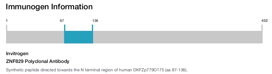 ZNF829 Polyclonal Antibody