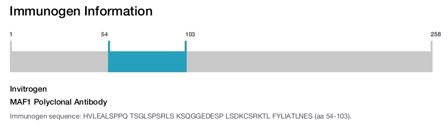 MAF1 Polyclonal Antibody