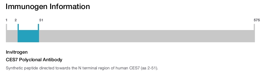 CES7 Polyclonal Antibody