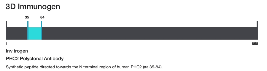 PHC2 Polyclonal Antibody