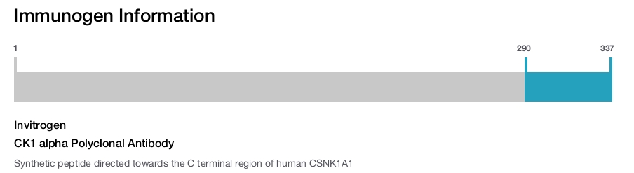 CK1 alpha Polyclonal Antibody
