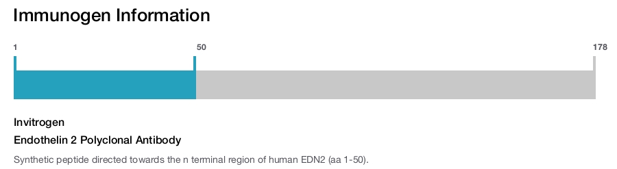 Endothelin 2 Polyclonal Antibody