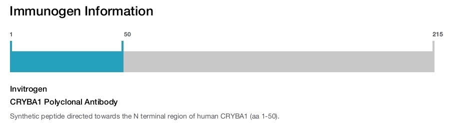 CRYBA1 Polyclonal Antibody
