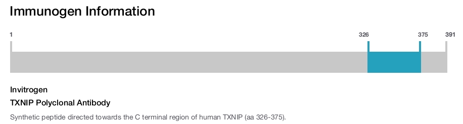 TXNIP Polyclonal Antibody