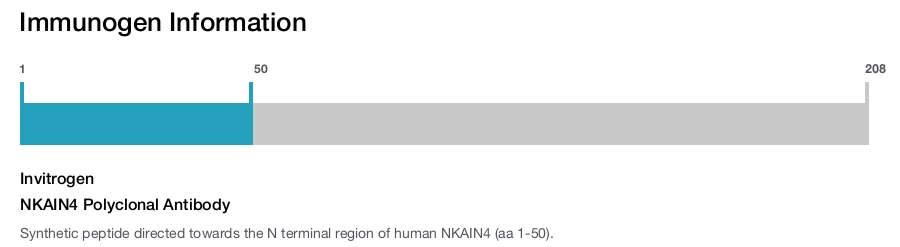 NKAIN4 Polyclonal Antibody
