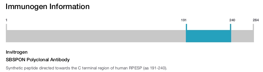 SBSPON Polyclonal Antibody