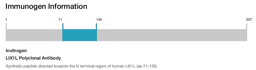 LIX1L Polyclonal Antibody