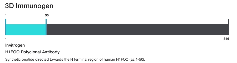 H1FOO Polyclonal Antibody