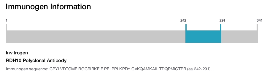 RDH10 Polyclonal Antibody
