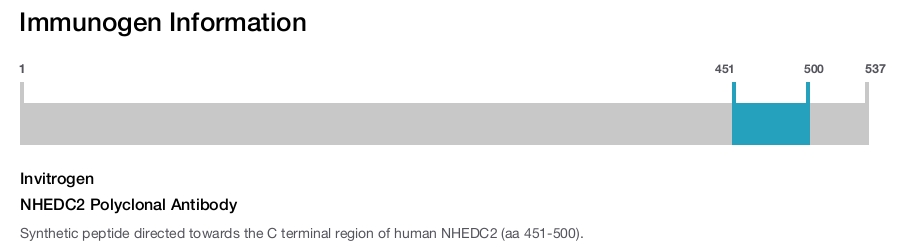 NHEDC2 Polyclonal Antibody