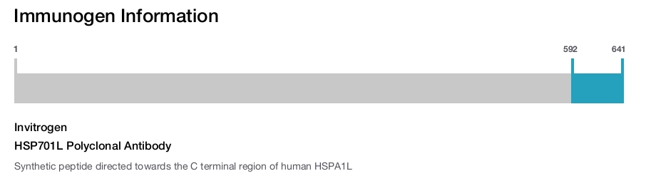 HSP701L Polyclonal Antibody