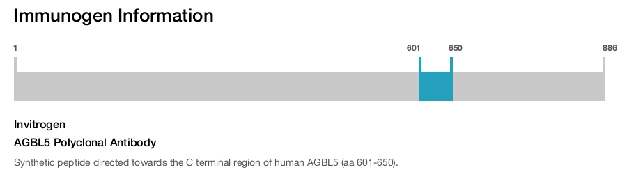AGBL5 Polyclonal Antibody