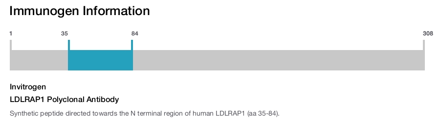 LDLRAP1 Polyclonal Antibody