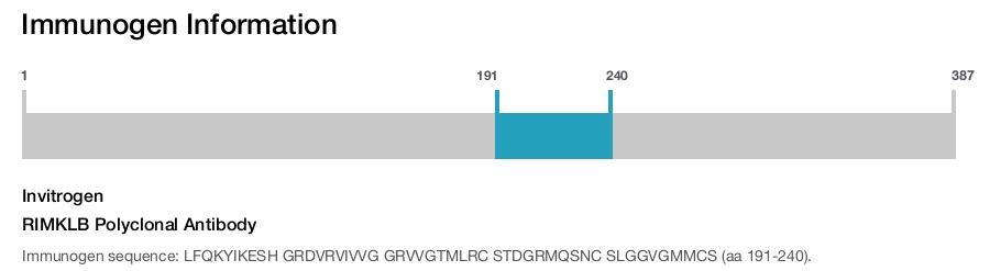 RIMKLB Polyclonal Antibody