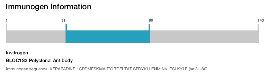 BLOC1S2 Polyclonal Antibody