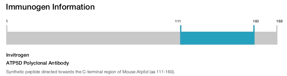 ATP5D Polyclonal Antibody