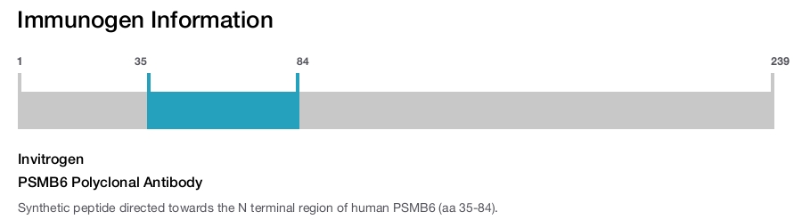 PSMB6 Polyclonal Antibody