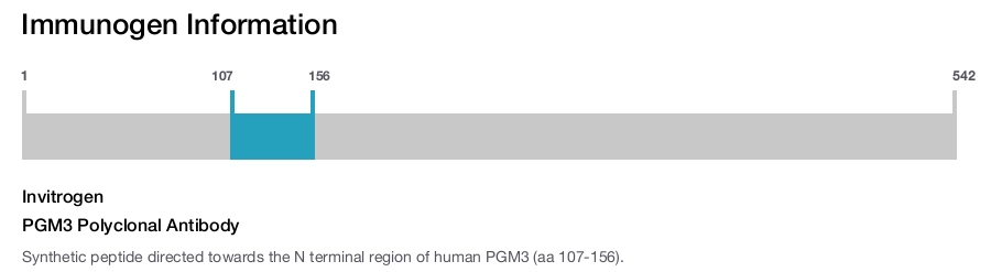 PGM3 Polyclonal Antibody