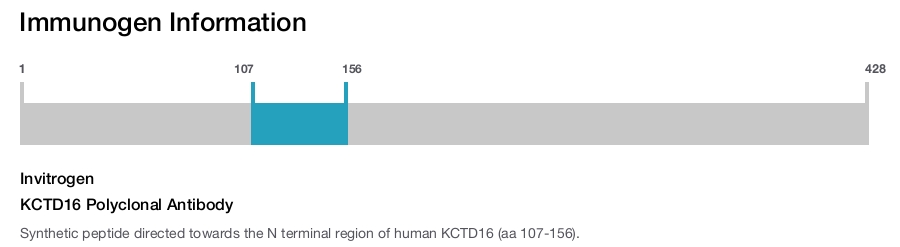 KCTD16 Polyclonal Antibody
