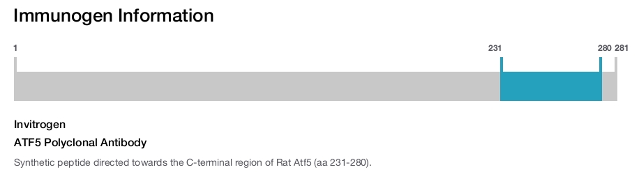 ATF5 Polyclonal Antibody