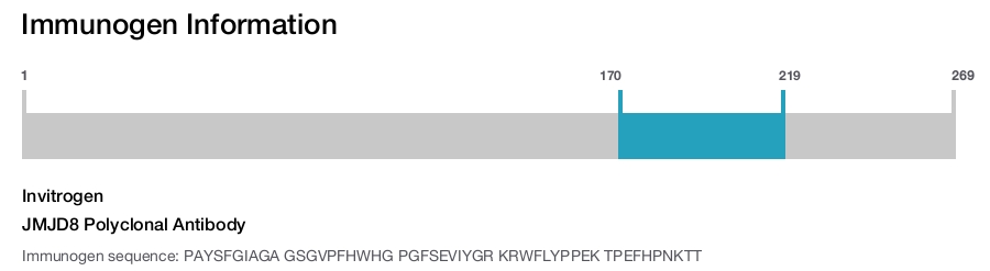 JMJD8 Polyclonal Antibody