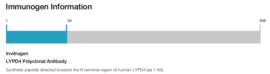 LYPD4 Polyclonal Antibody