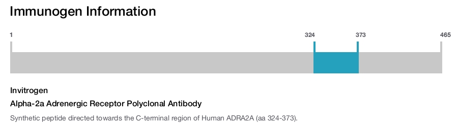 Alpha-2a Adrenergic Receptor Polyclonal Antibody