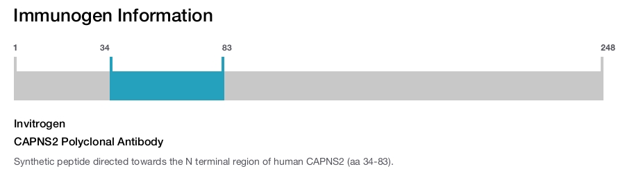 CAPNS2 Polyclonal Antibody