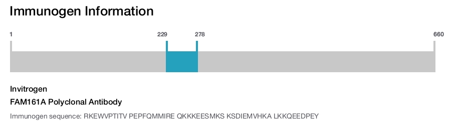 FAM161A Polyclonal Antibody