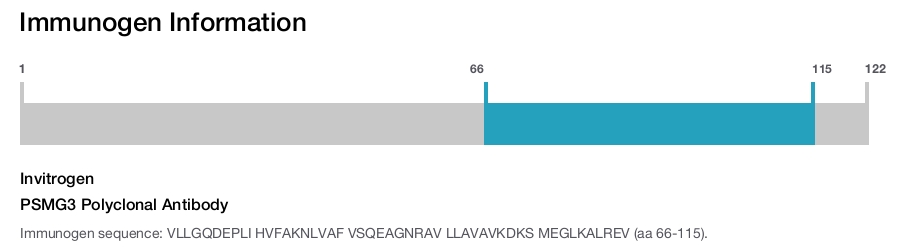 PSMG3 Polyclonal Antibody