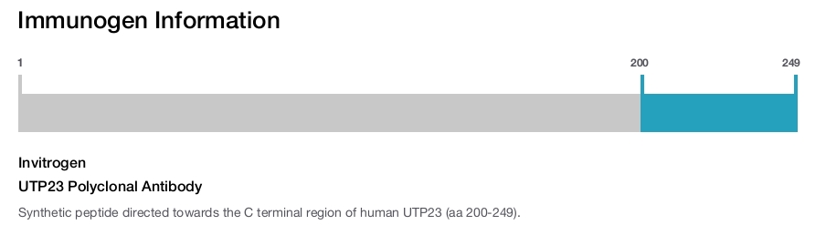UTP23 Polyclonal Antibody