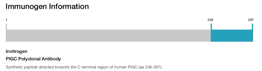 PIGC Polyclonal Antibody